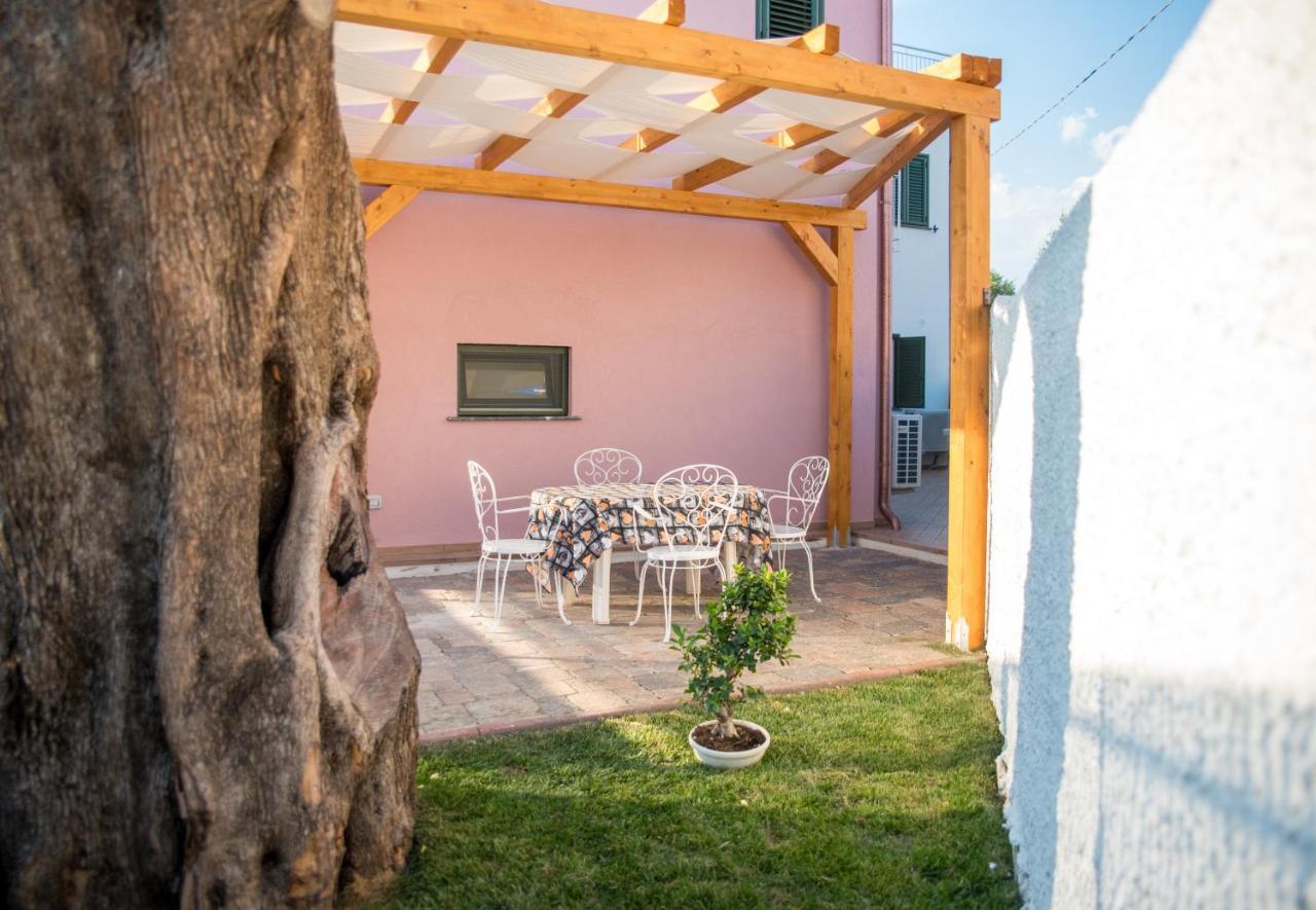 Fili D'erba Cilento *