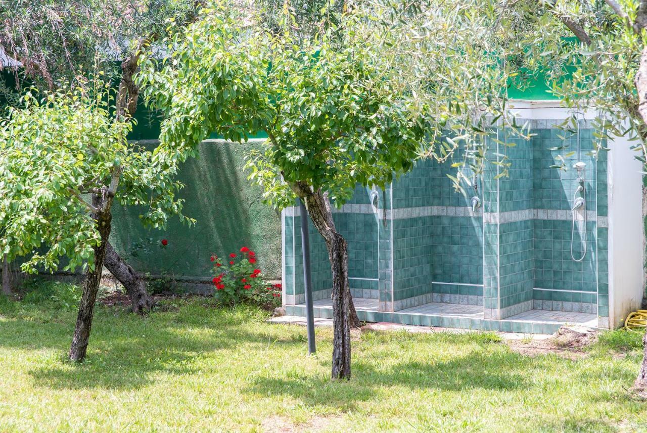 Fili D'erba Cilento Villammare