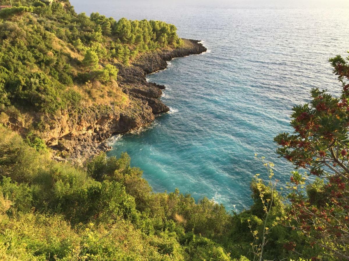 Holiday home Fili D'erba Cilento