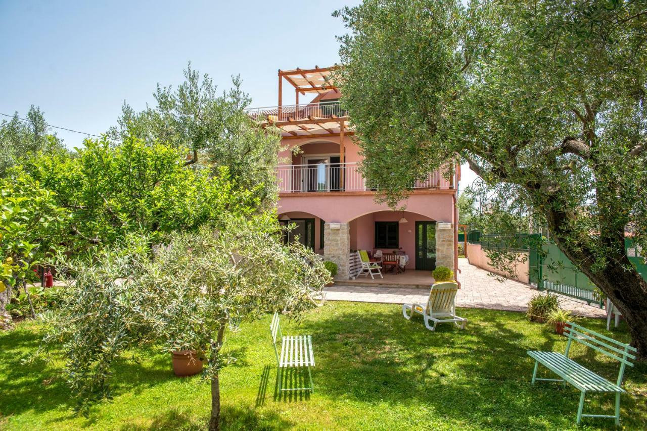 Fili D'erba Cilento